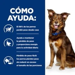 Hill's Metabolic Con Pollo Prescription Diet Pienso Para Perros -KONG Ventas pd merabolic dog bk32929 bk27893m bk32064m bk21343 bk21344 how helps es 2