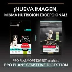 Purina Pro Plan Medium Puppy Sensitive Digestion Cordero Y Arroz -KONG Ventas puprpnddadvsemela23npapares 1685434376921 2