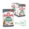 Royal Canin Digest Care En Salsa -KONG Ventas rc fcn digestivecarepouchgravy 4 es es 3