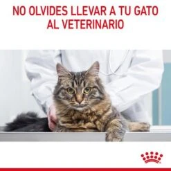 Royal Canin Light Weight Care En Gelatina 21 Royal Canin Light Weight Care En Gelatina -KONG Ventas rc fcn lightweightpouchjelly 13 es es 7