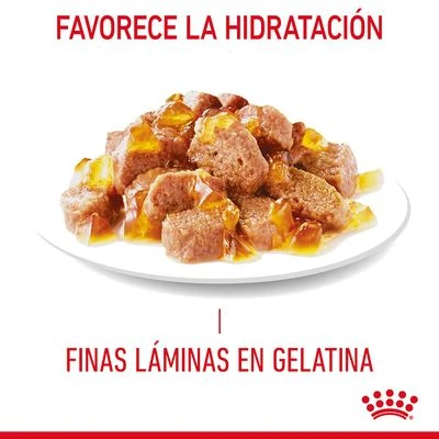 Royal Canin Light Weight Care En Gelatina 6 Royal Canin Light Weight Care En Gelatina - Imagen 4