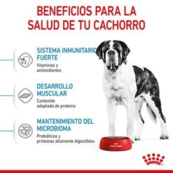 Royal Canin Giant Junior 15 Royal Canin Giant Junior -KONG Ventas rc spt dry giantjunior cv 3 es es 1