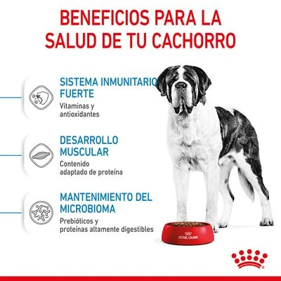 Royal Canin Giant Junior 6 Royal Canin Giant Junior - Imagen 4