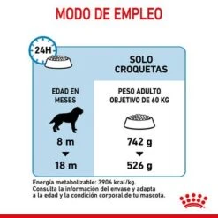 Royal Canin Giant Junior 18 Royal Canin Giant Junior -KONG Ventas rc spt dry giantjunior cv 7 es es 0