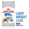 Royal Canin Maxi Light Weight Care -KONG Ventas rc spt dry lightweightmaxi mv 1 es es 1 6
