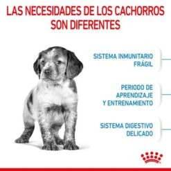 Royal Canin Medium Puppy -KONG Ventas rc spt dry mediumpuppy cv 2 es es 0