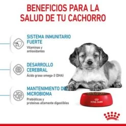 Royal Canin Medium Puppy -KONG Ventas rc spt dry mediumpuppy cv 3 es es 6
