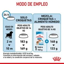 Royal Canin Medium Puppy -KONG Ventas rc spt dry mediumpuppy cv 7 es es 4