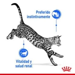 Royal Canin Indoor Sterilised 7+ En Salsa -KONG Ventas rc spt wet ind7stergravy cv 1 es es 6