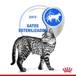 Royal Canin Indoor Sterilised 7+ En Salsa -KONG Ventas rc spt wet ind7stergravy cv 2 es es 4
