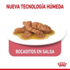 Royal Canin Indoor Sterilised 7+ En Salsa -KONG Ventas rc spt wet ind7stergravy cv 3 es es 7