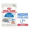 Royal Canin Indoor Sterilised 7+ En Salsa -KONG Ventas rc spt wet ind7stergravy mv 1 es es 4