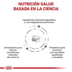 Royal Canin Veterinary Gastro Intestinal Puppy Pienso Para Perros -KONG Ventas rc vet dry doggastropu cv eretailkit 3 es es 0
