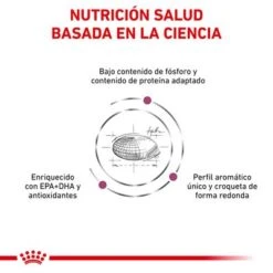 Royal Canin Veterinary Canine Renal Special Pienso Para Perros -KONG Ventas rc vet dry dogrenalspe cv eretailkit 3 es es 3