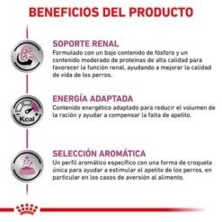 Royal Canin Veterinary Canine Renal Special Pienso Para Perros -KONG Ventas rc vet dry dogrenalspe cv eretailkit 4 es es 2