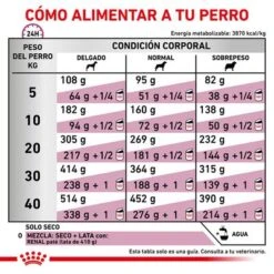 Royal Canin Veterinary Canine Renal Special Pienso Para Perros -KONG Ventas rc vet dry dogrenalspe cv eretailkit 6 es es 3
