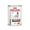 Royal Canin Veterinary Canine Gastrointestinal Mousse -KONG Ventas rc vet wet doggastro400g mv eretailkit de de 7