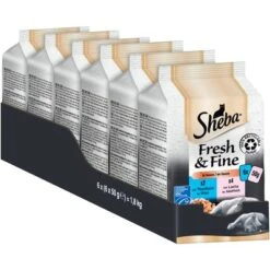 Sheba Fresh & Fine 72 X 50 G - Pack % -KONG Ventas thuhnfisch sauce 2 5