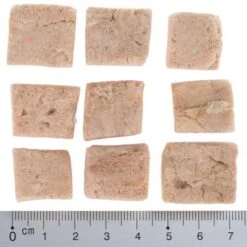 Pack Ahorro 4 X Wolf Of Wilderness RAW Snacks Liofilizados Premium -KONG Ventas wow fd snack blue river cubes with ruler 4