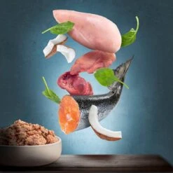 Purizon Adult 6 X 200 G Comida Húmeda Para Gatos, Sin Cereales 16 Purizon Adult 6 X 200 G Comida Húmeda Para Gatos, Sin Cereales -KONG Ventas zop 21 117 purizon katze nassfutter marketingboards lachs p2 5