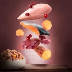 Purizon Adult 6 X 200 G Comida Húmeda Para Gatos, Sin Cereales 19 Purizon Adult 6 X 200 G Comida Húmeda Para Gatos, Sin Cereales -KONG Ventas zop 21 117 purizon katze nassfutter marketingboards lachs pute p2 7