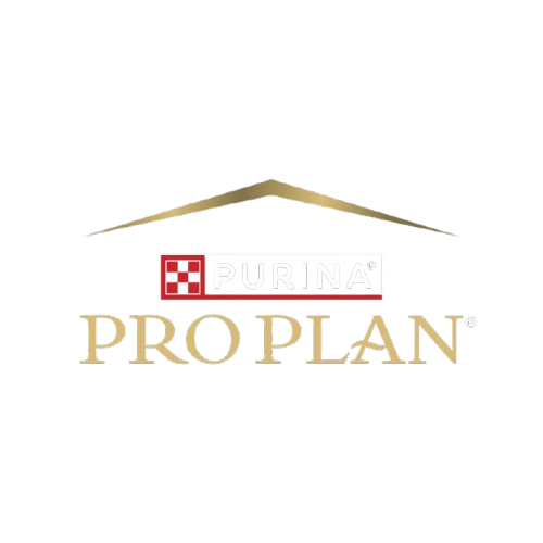 KONG Ventas 3 KONG Ventas -KONG Ventas fwaff removebg preview